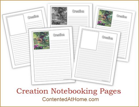 Creation Notebooking Pages