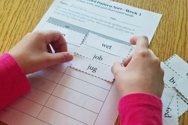 Close-up of girl's hands placing word cards on a spelling worksheet