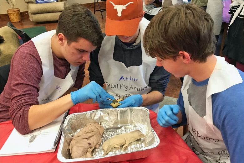 Three teenage boys wearing aprons and blue gloves, sitting at a table dissecting a fetal pig