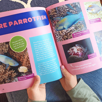 Marine Life Children’s Book with Underwater Photos