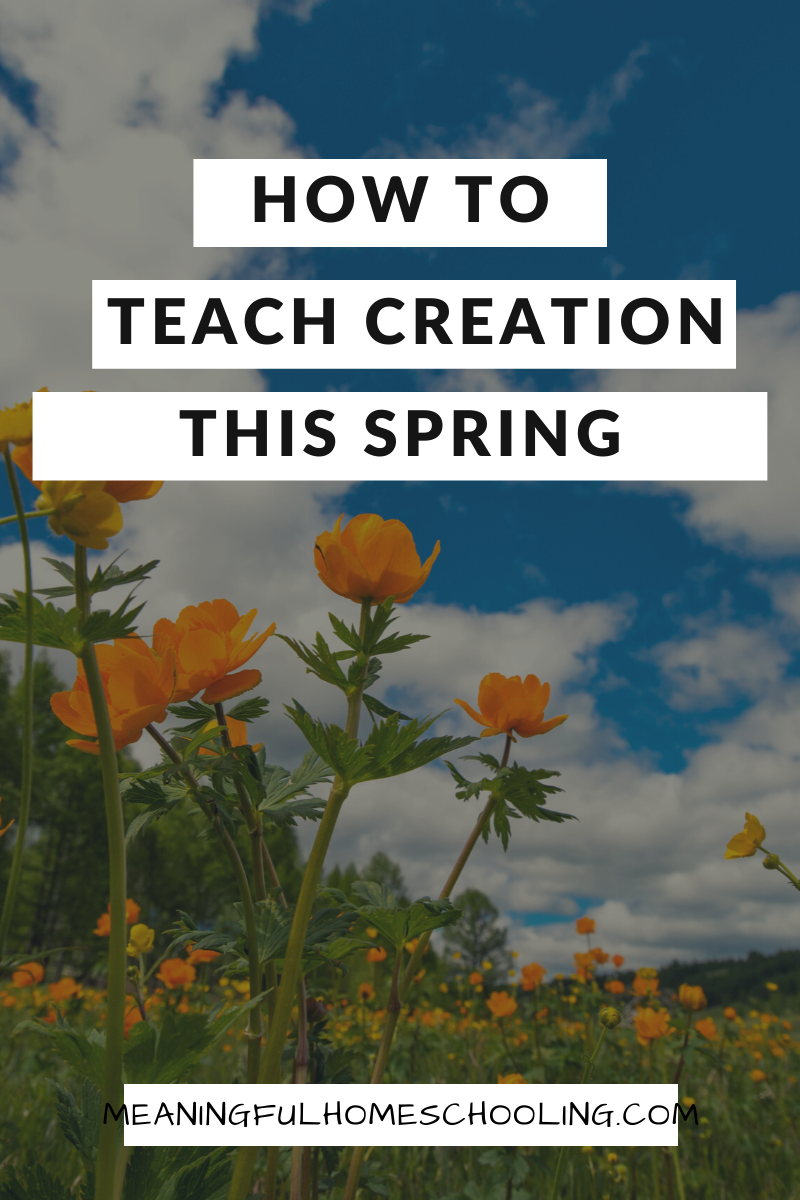 How to teach creation this spring.
