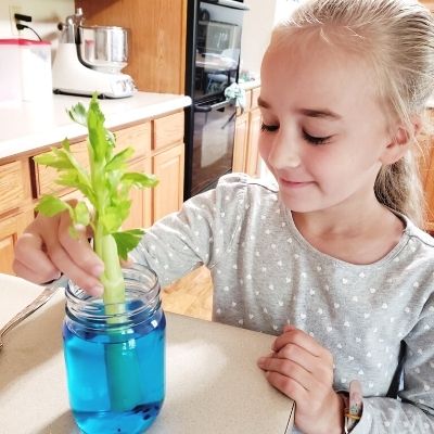 Hands-On Science Curriculum That Kids Love