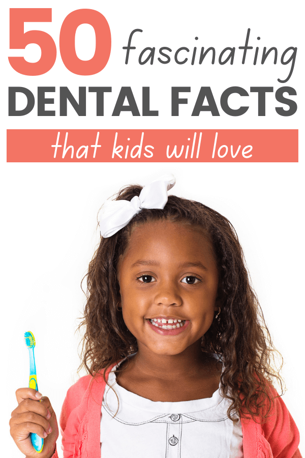 50 Fascinating Dental Facts for Kids (Homeschool Health Curriculum) |  Meaningful Homeschooling