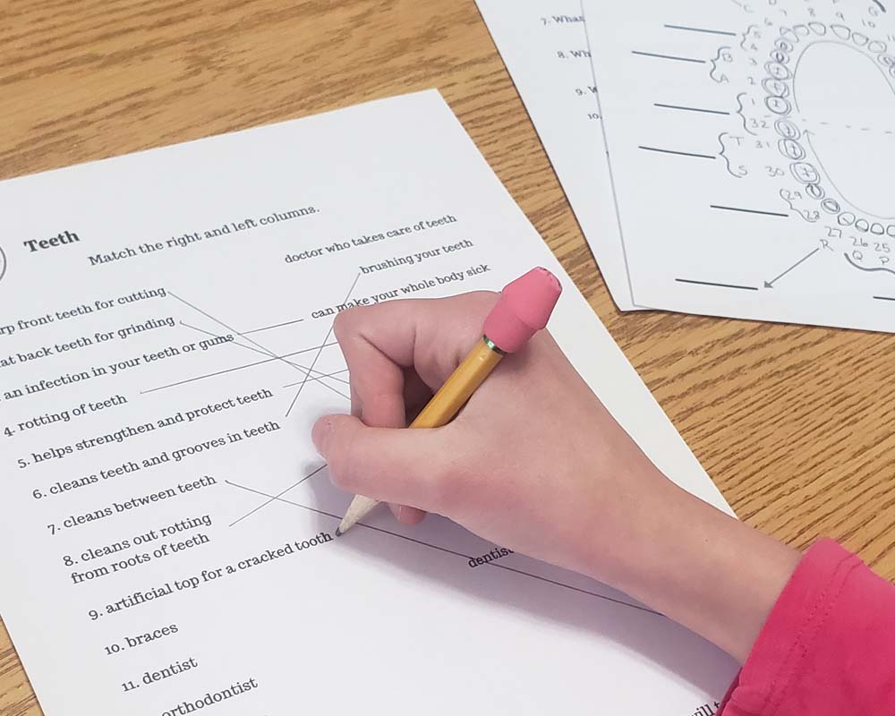 Girl's hand holding pencil and writing answers on a worksheet about the teeth