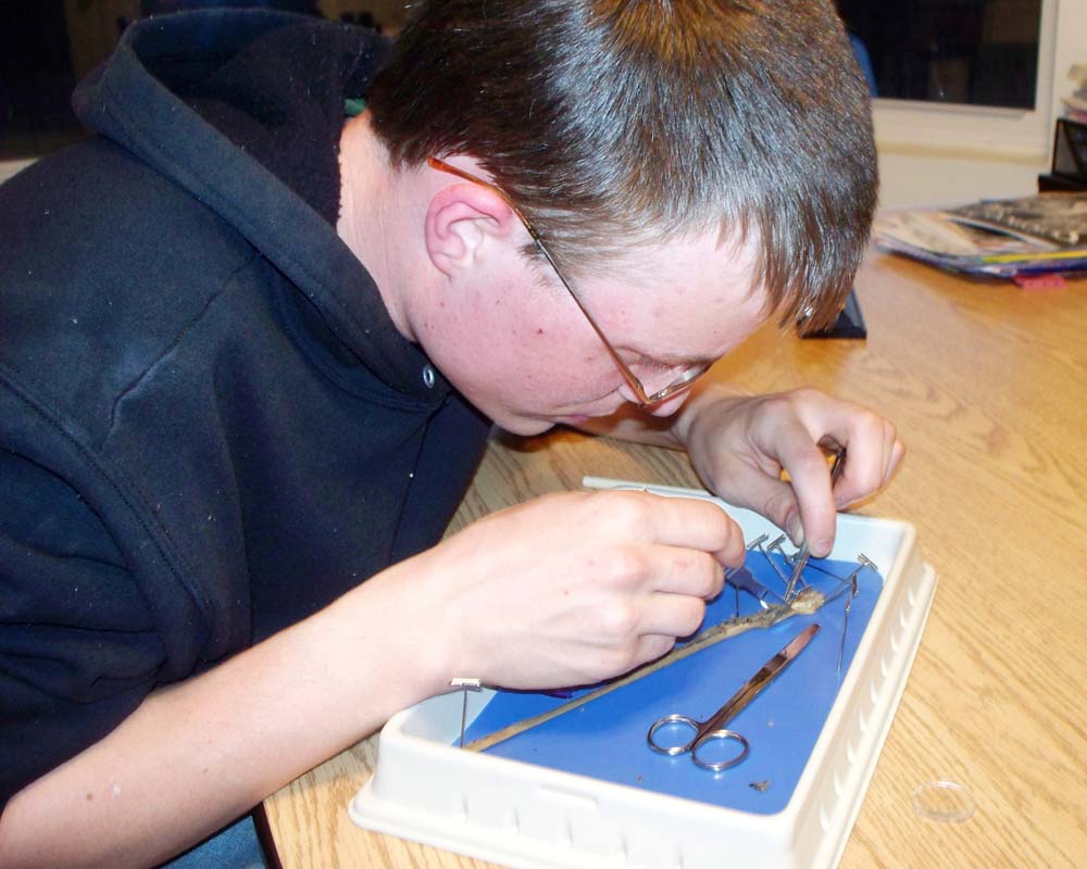 Teen boy in black hoodie carefully dissecting an earthworm in a plastic tray