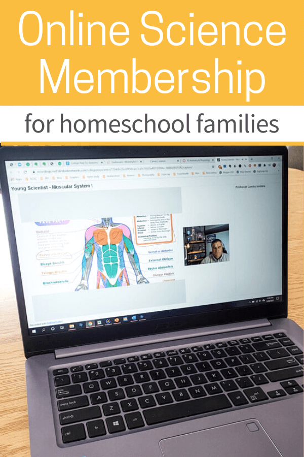 Image of a laptop showing a homeschool science lesson with a diagram of the muscular system