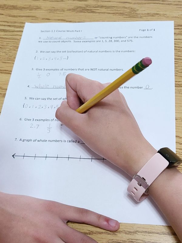 Image of a girl's hand holding a pencil and filling out a pre-algebra worksheet.