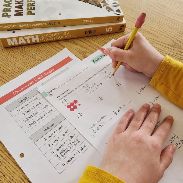 The Best Homeschool Math Curriculums for Elementary Grades